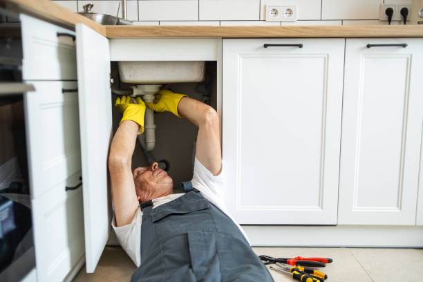 Best Plumbing Inspection Services  in Channahon, IL